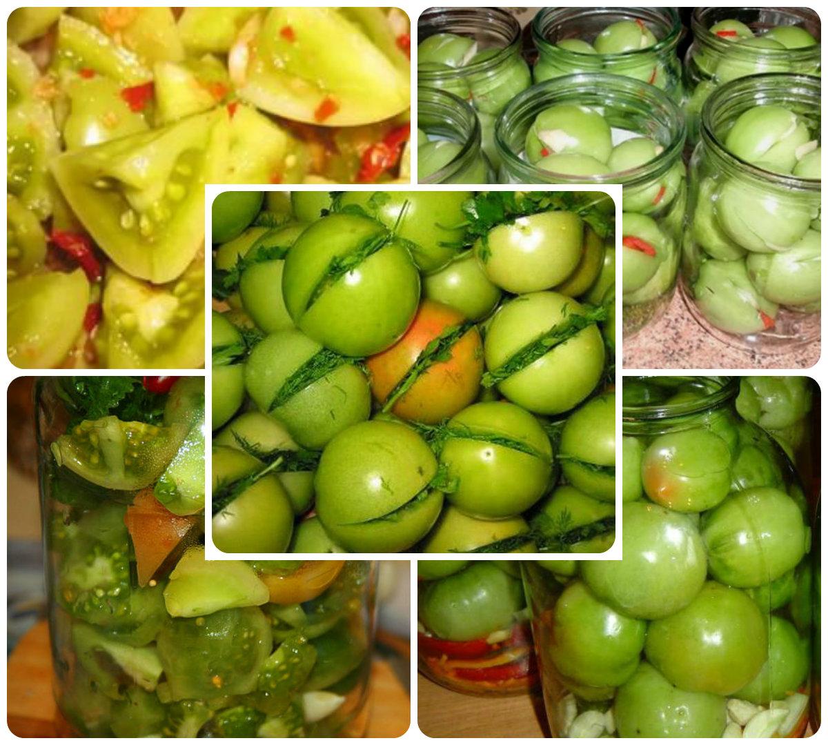 collage зеленые томаты
