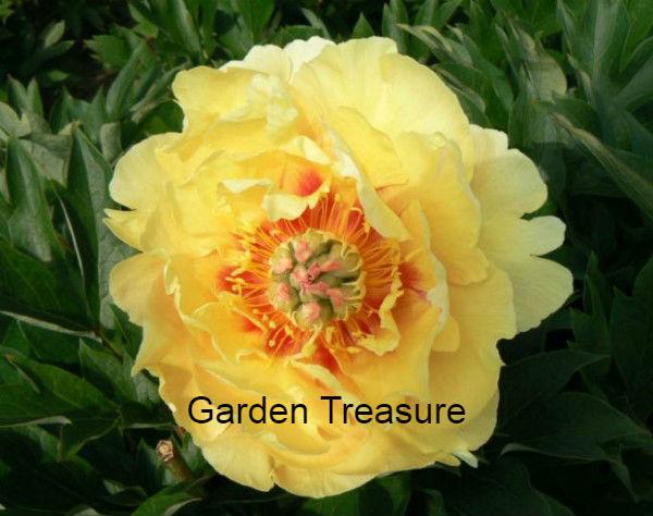 Garden Treasure