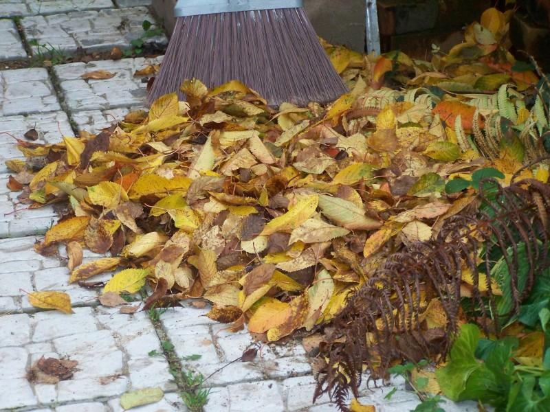 Культуролог рассказал, зачем складывать узоры из опавших листьев