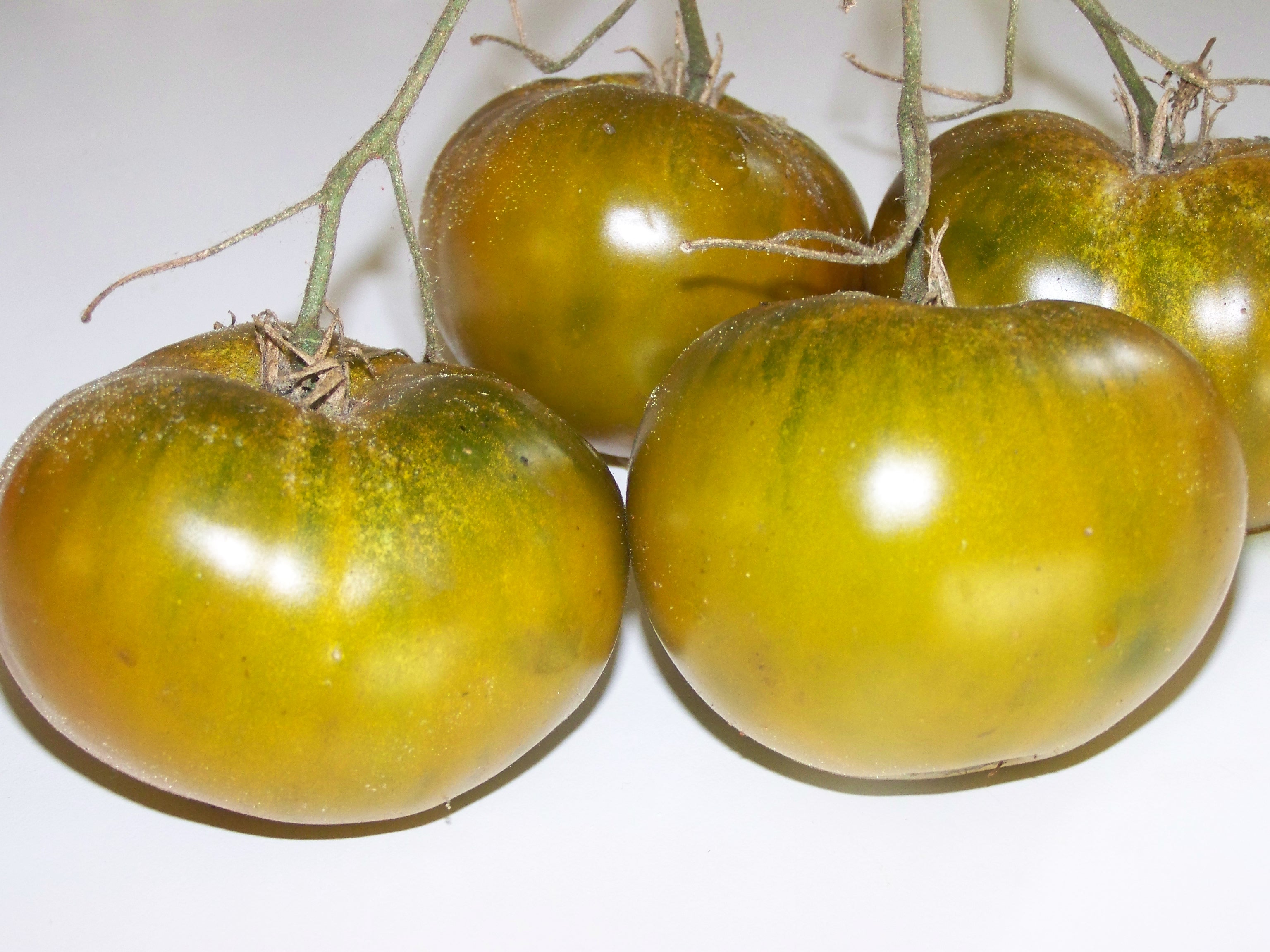 Семена томат Изумрудное яблоко
