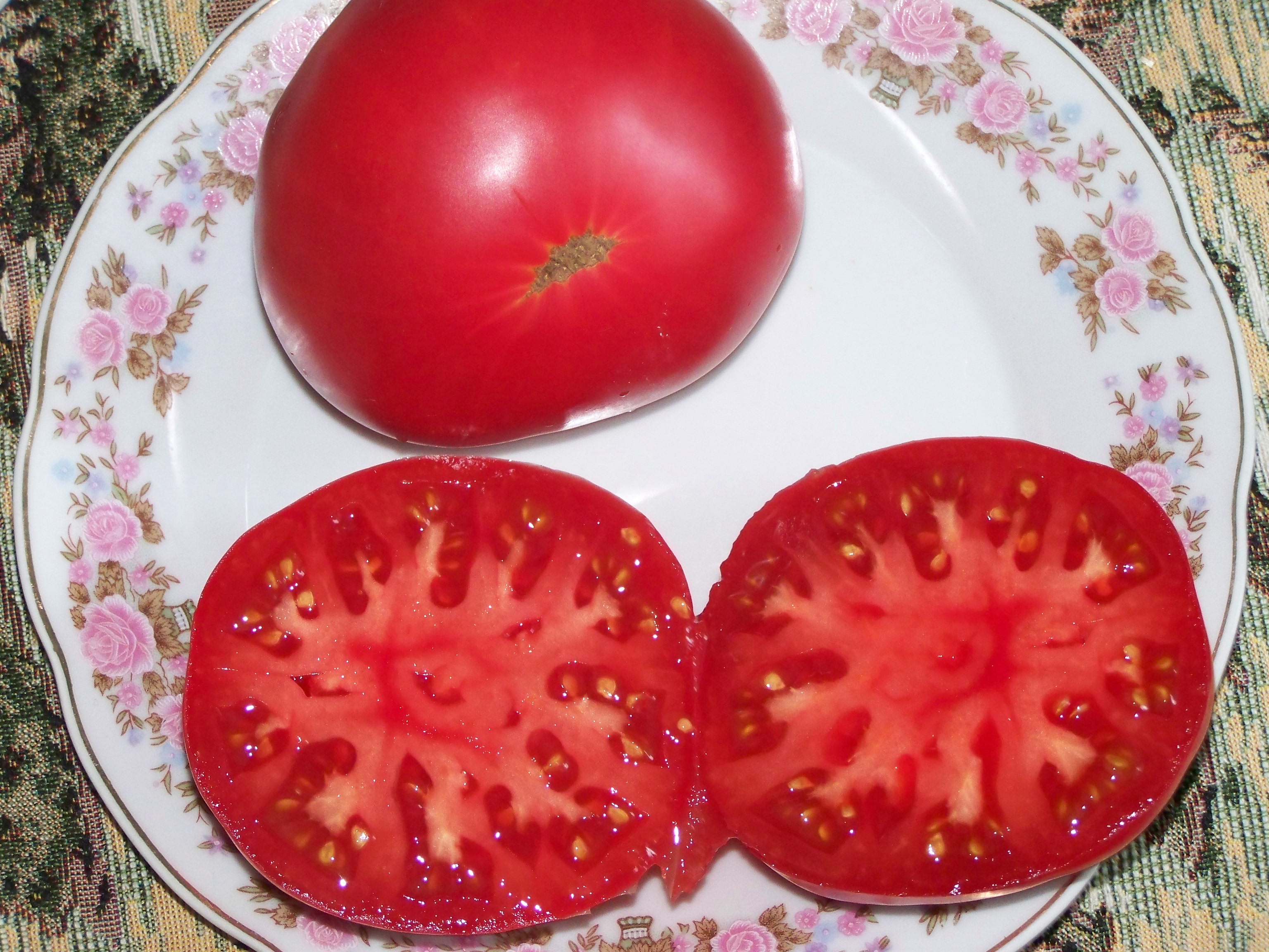 томаты сорт чудо земли фото
