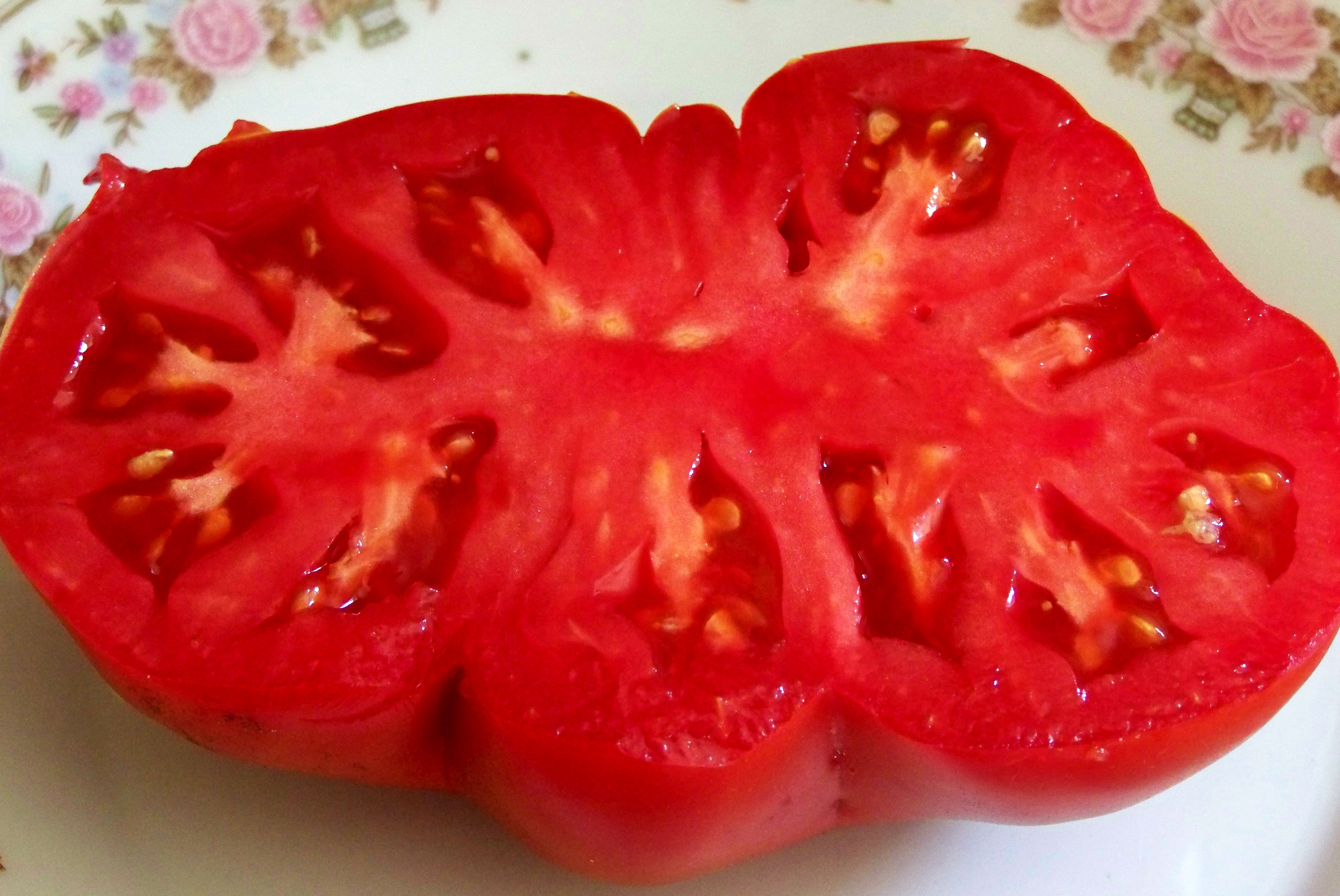 сто пудов томат фото