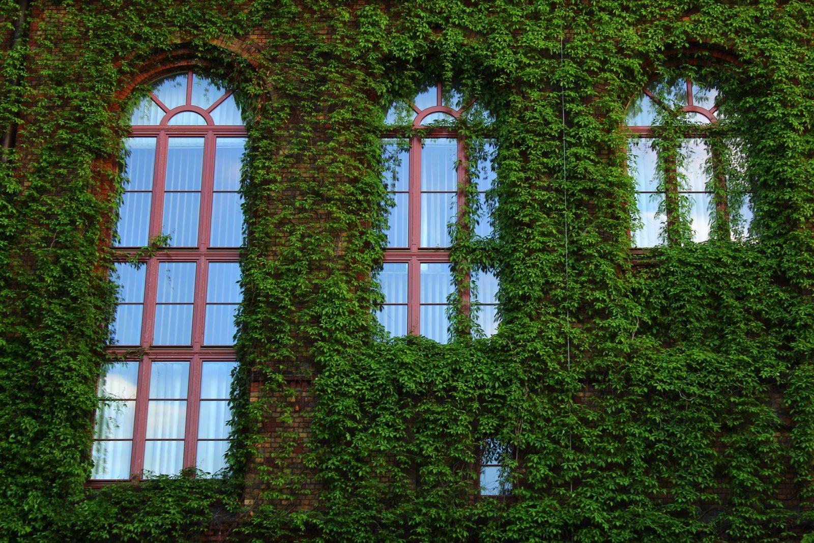 Вертикальное озеленение фасадов