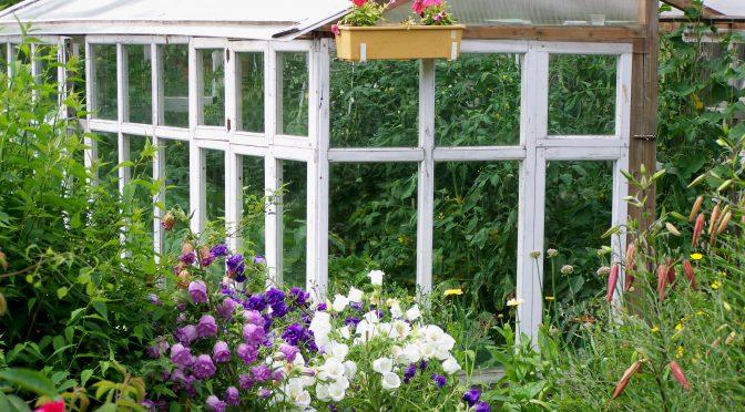 Садовое обозрение/Garden review | сад, огород, открытый грунт, посадка ...