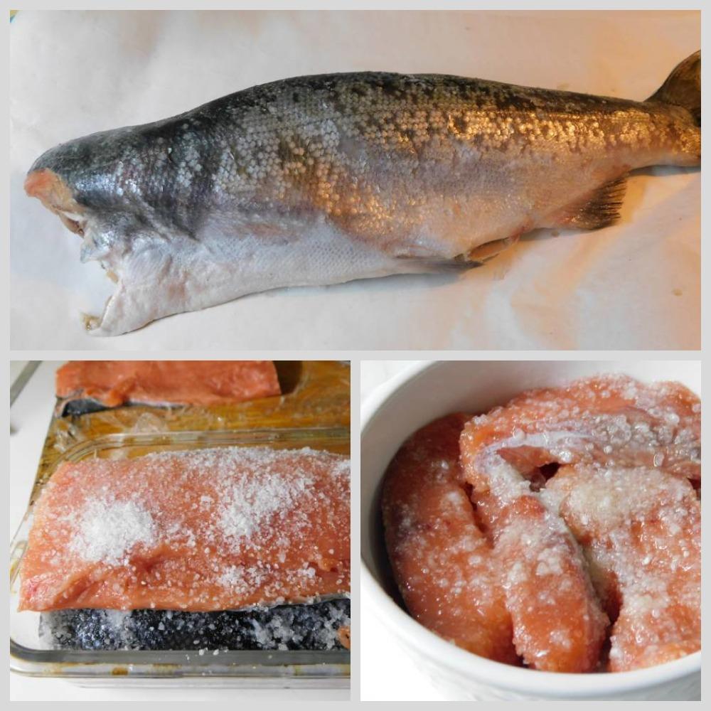 Кижуч - серебряный лосось