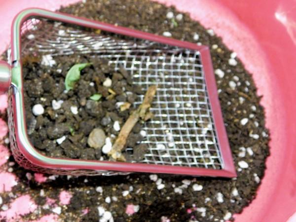 Совок-сито для грунта