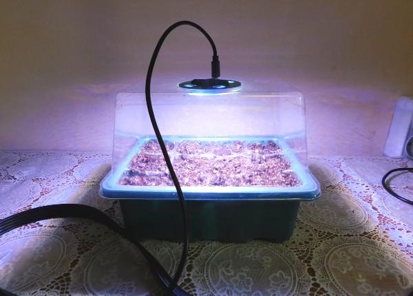 Мини-тепличка для рассады