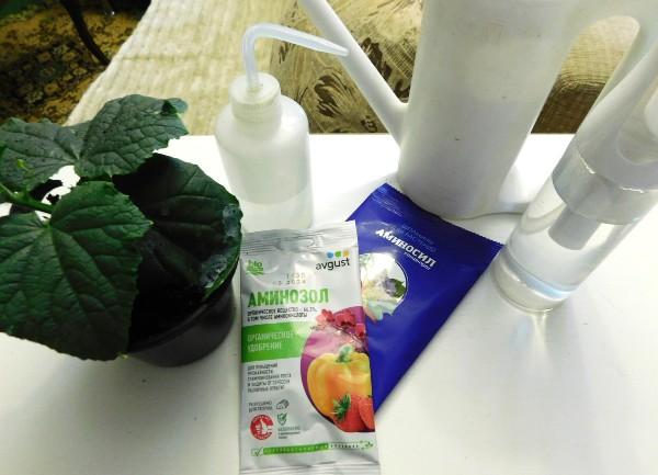 Витамины, аминокислоты, что ещё нужно рассаде и нужно ли?