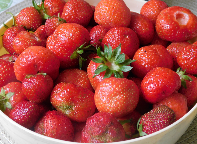 Земляника: урожай готовим, пока едва сошёл последний снег