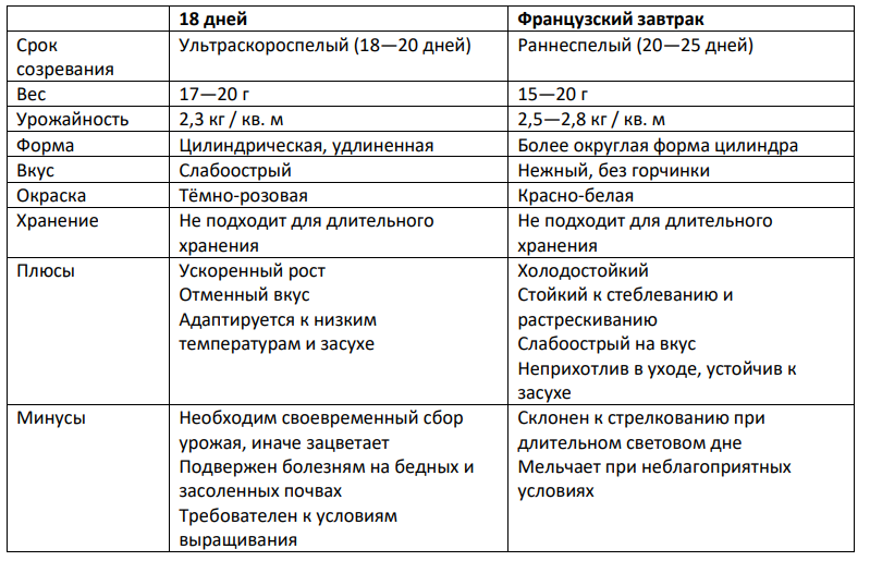 Редис: мой ТОП сортов